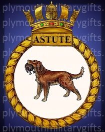 HMS Astute Magnet